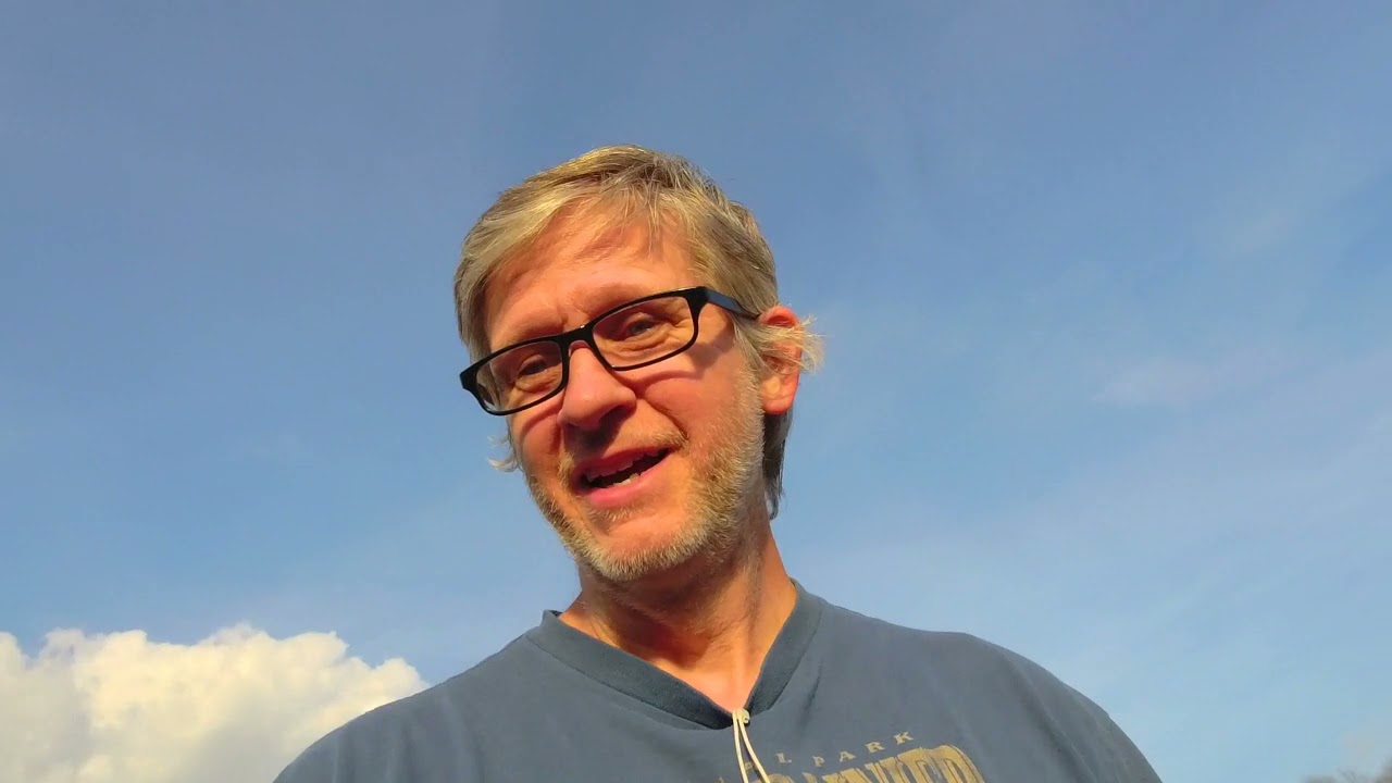 Growing potatoes from Grocery store produce aisle, first follow up