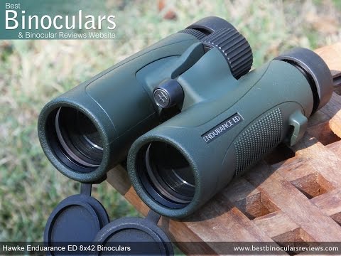 hawke endurance ed 8x32 binoculars