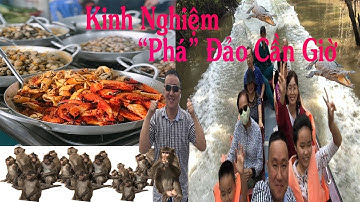 Kinh Nghiệm “Phá” Đảo Cần Giờ Trong 01 Ngày - 10 Điểm Cần Khám Phá | Can Gio Island