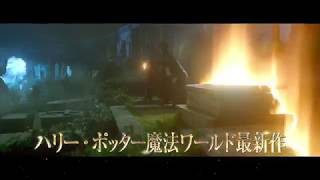 映画『ファンタスティック・ビーストと黒い魔法使いの誕生』TV SPOT（30秒編）【HD】2018年11月23日（金・祝）公開