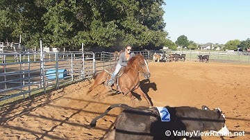 Dear Gus***For info, price, etc., go to our website*** Valley View Ranch