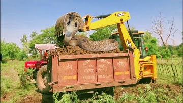 JCB 3dx Backhoe Machine Loading Mud In Mahindra Tractor | Jcb Tractor Working For Making #shorts #1