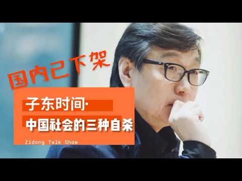 【国内已下架】许子东：删帖是中国精神文明建设的重要组成部分【子东时间】