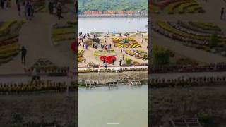 Flower Park. ||DC Park||Chittagong. lovely flower shortvideo youtubeshorts foryou