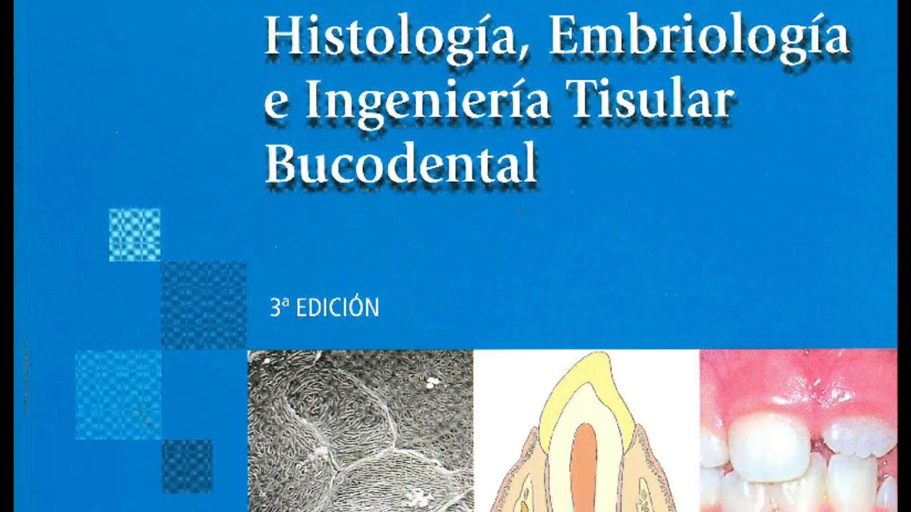 Histologia Embriologia E Ingenieria Tisular Bucodental Gomez De