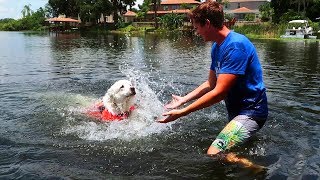 TEACHING KODA TO SWIM (Super Cooper Sunday #103)