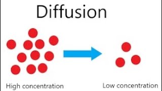 WAEC REVISION ON BROWNIAN MOTION AND DIFFUSION.    By ighota      Tutor:Olabisi Olawoye