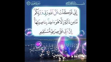 سورة هود الآية ( 56 )