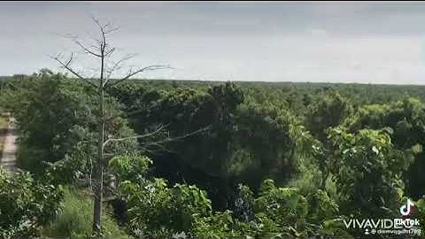 Du lịch sinh thái VQG U Minh Thượng