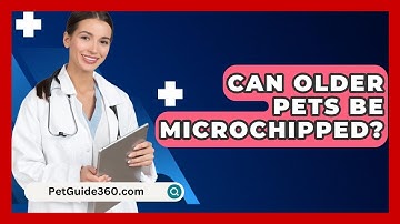 Can Older Pets Be Microchipped? - PetGuide360.com