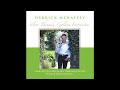 Derrick Mehaffey - I&#39;ll Never Write This Song Again