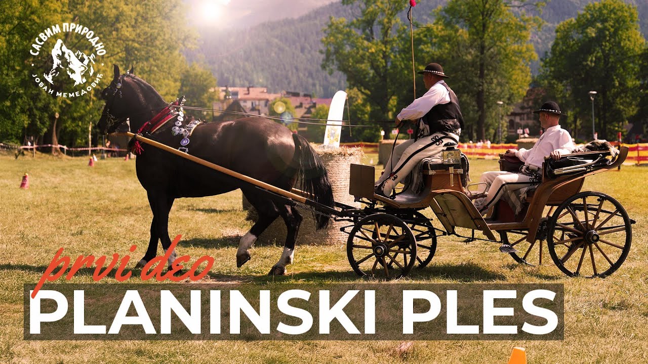 SASVIM PRIRODNO: Planinski ples 1. deo