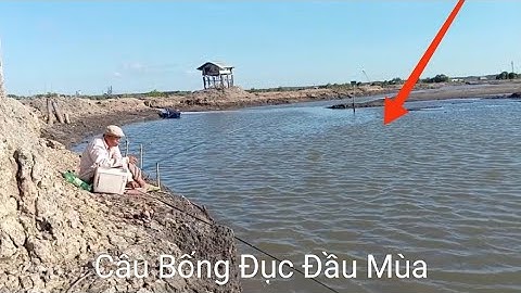 Câu cá Ngát và Bống Đục Đầu Mùa/ Câu Đùng Mỹ Xuân Tân Thành BRVT/ Câu cá thiên nhiên