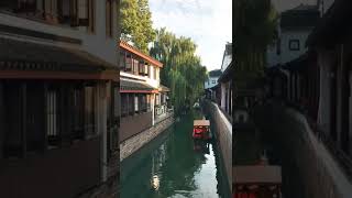 🦉 suzhou/Beijing (OP Shorts)