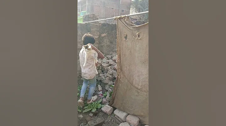 Watch the video about Cute cat #cat #catlover #catvideos #cats #hungryanimal #kitten #viralvideo #viralshort #video #video