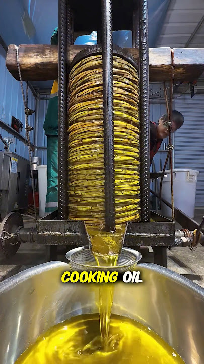 Have you ever seen such an ancient way of extracting oil #fyp #knowledge