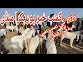 kumb Bakra Mandi new rate update 25 #2025 #goat #qurbanvlogs #cattlemarket #cow #cowmandi #eiduladha