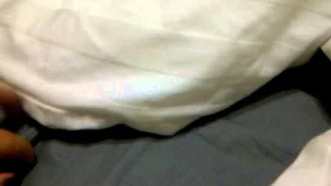 Kitten hiding under covers