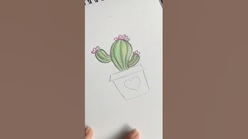 Drawing Cactus Quick & Easy