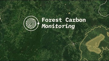 Forest Carbon Monitoring project