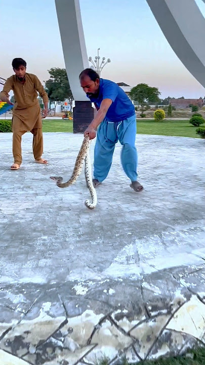 we rescue big snake 🐍 saamp