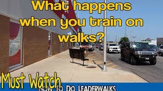 How To Do LeaderWalks (From The Course!) with Rocky Malinois by MasterPaw 8,884 views 5 years ago 7 minutes, 32 seconds