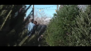 Lowes offering Christmas Tree dlivery