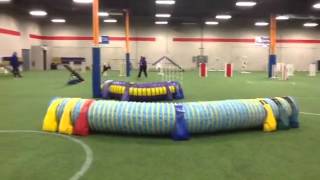 Cabot UKI Beginners Agility 1/9/16