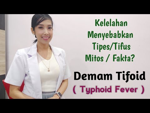 Tipes / Tifus / Demam Tifoid ( Typhoid Fever )