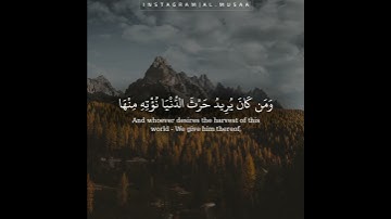 ﴿الله لطيف بعباده﴾ القارئ : عبدالله الموسى