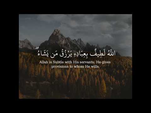 الله لطيف بعباده القارئ عبدالله الموسى