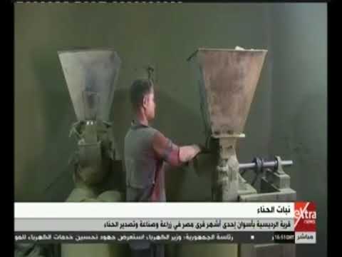 قريه الرديسيه بأسوان احدي اشهر قري مصر في زراعه و تصدير الحناء