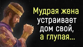 20 Невероятно Мудрых Цитат Царя Соломона | Цитаты, Афоризмы, Мудрые Мысли