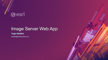 ArcGIS Image Service Webapp Builder Widget