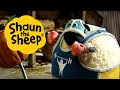 Shape Up With Shaun Shaun The Sheep S1 Full Episodes