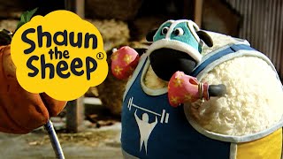 Shape Up With Shaun | Shaun the Sheep | S1 Full Episodes