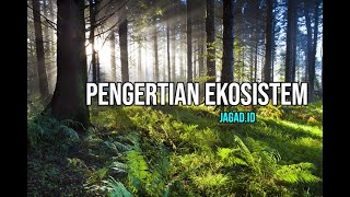 Pengertian Ekosistem dan Contohnya