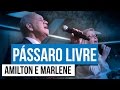 Amilton e Marlene - Pássaro Livre