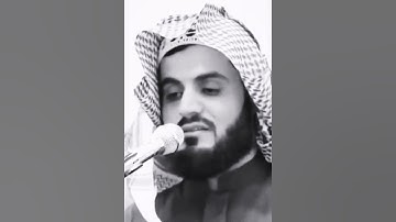 #شيخ_رعد_محمد_الكردي حالات واتس اب دينيه #القرآن_الكريم #تلاوات_قرآنيه #رعد_الكردي ❤️✨🎧