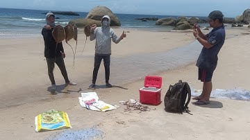 chỉa cá đuối Biển, chỉa cá biển tại bờ, hành trình săn cá biển