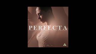 Mr Don - Perfecta (bachata version) | Bachata 2022