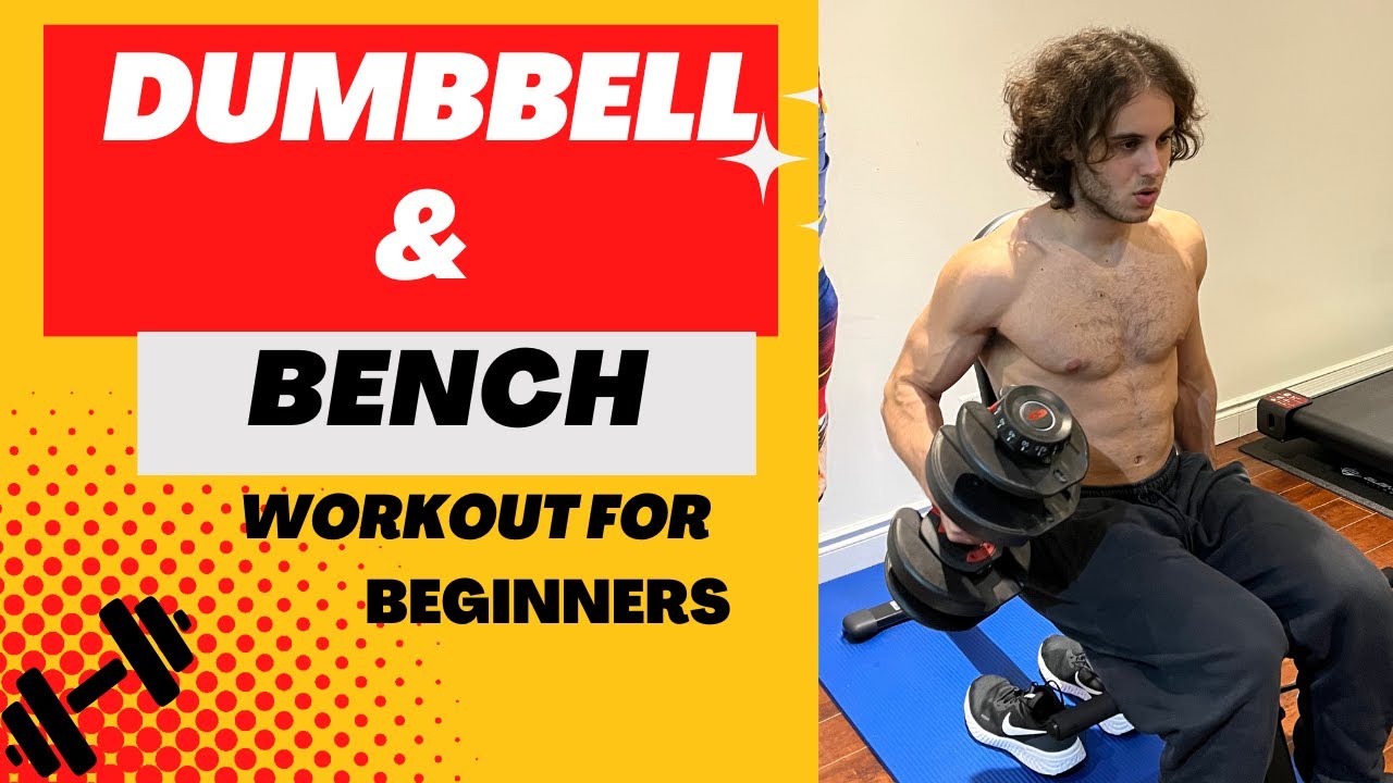 Full Body BENCH & DUMBBELL Workout For Beginners! - YouTube