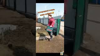 Осторожно Злая Собака Ржака До Слез Прикол 😂