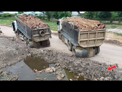 New Impressive JOB !! Heavy Trucks fill flooded area by Soil with Stronger Bulldozer