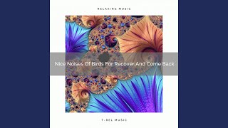 Funny Sounds Of Nature For Refresh And Noise Therapy - Brown Sleep Soft Sough
