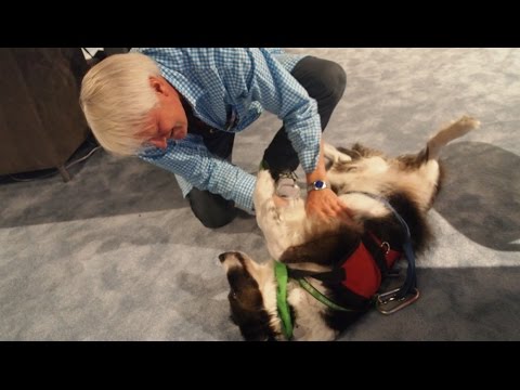 Charles Martinet Speaks To Fans At E3 2015 Nintendo Super Mario Q A