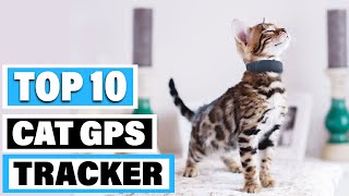 Best Cat GPS Tracker In 2024  Top 10 Cat GPS Trackers Review