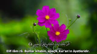 Hicr Suresi | Hazza al Balushi | Son Kitap | Kuran Terapi Şifa Noktası