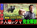 【現役マタギ】賞金300万円！？今も秋田の山に潜む人喰いグマについてマタギが徹底解説