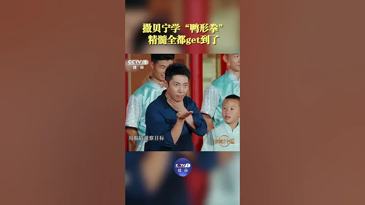 撒貝寧最想刪掉的一段視頻出現了！學峨眉武術“鴨形拳”險翻車 | CCTV「非遺里的中國」 - 天天要聞